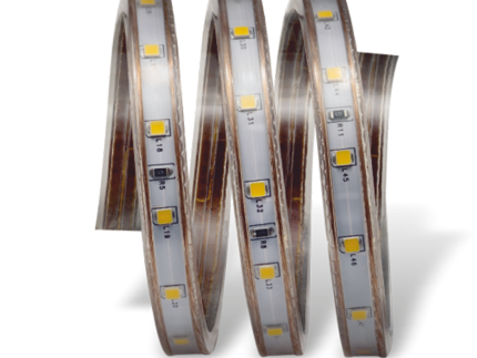 Cata 220V Şerit Led Dış Mekan 220V CT-4556 Amber