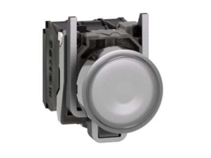 SCHNEIDER SCHXB4BW31M5 IMMUMINATED PUSHBOTTON