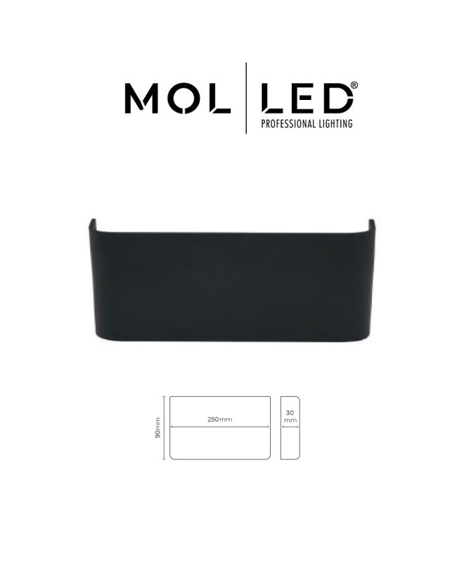 MOL8019